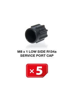 Airco Service Poort Kapje M 8 x 1 Lagedruk zijde R134a (5 st.)