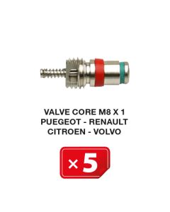 Obus de valves de climatisation  M8x 1  Peugeot-Renault-Citroen-Volvo