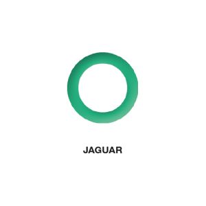 Joint Torique Climatisation Jaguar 13,10 x 1,60 (lot de 5 pcs) Joint Torique Climatisation Jaguar 13,10 x 1,60 (lot de 5 pcs)