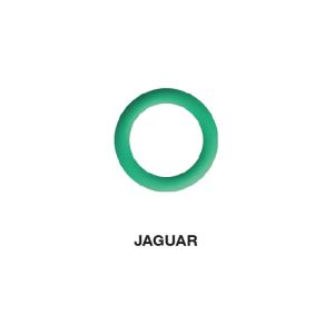 Joint Torique Climatisation Jaguar 11,80 x 2,40 (lot de 5 pcs) Joint Torique Climatisation Jaguar 11,80 x 2,40 (lot de 5 pcs)